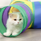 Tunnel Chat Arc en Ciel