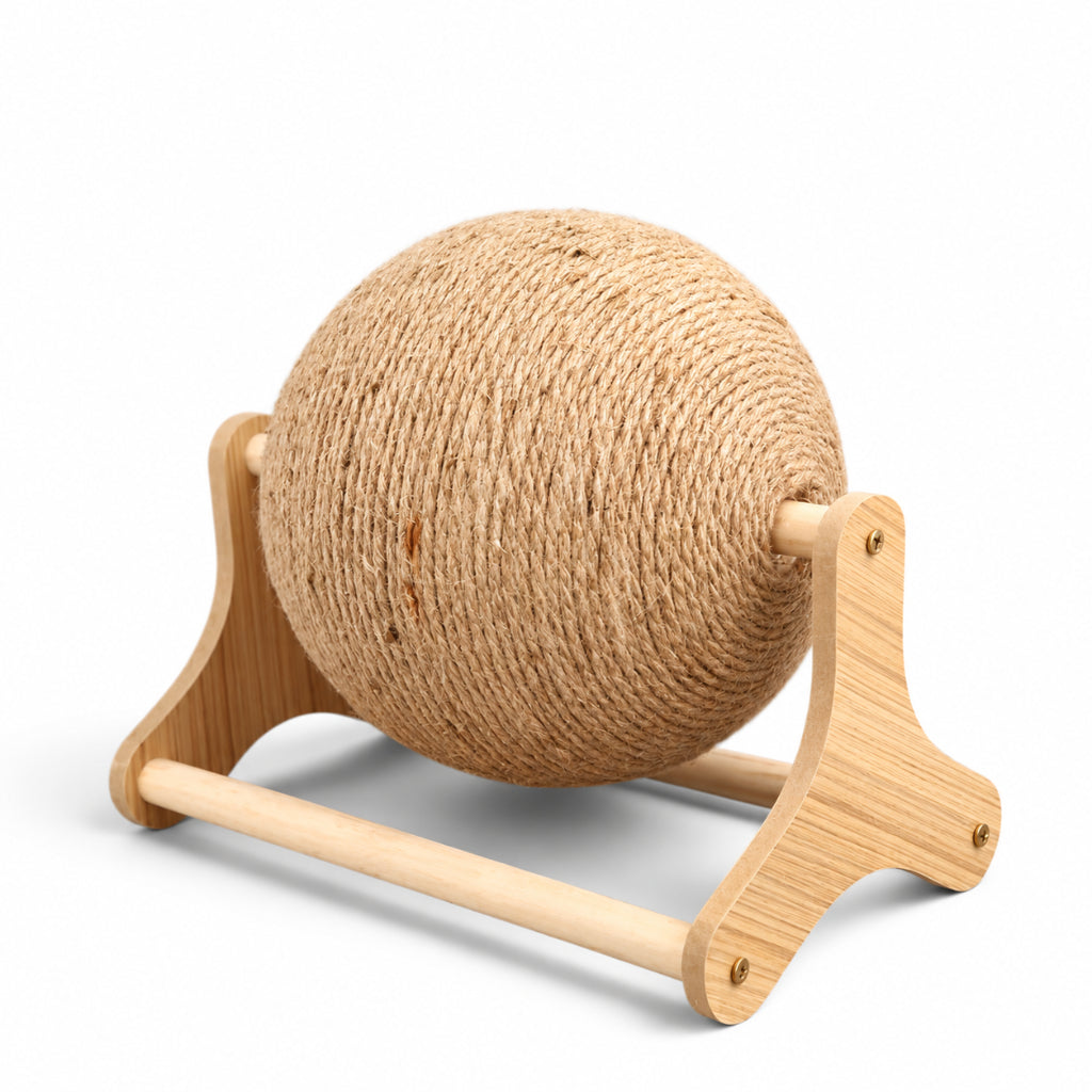 Griffoir Interactif pour Chat