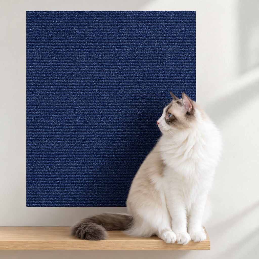 Griffoir Chat Protection Canapé
