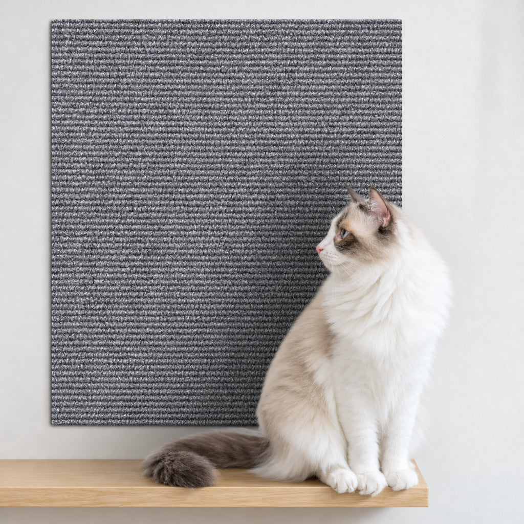 Griffoir Chat Protection Canapé