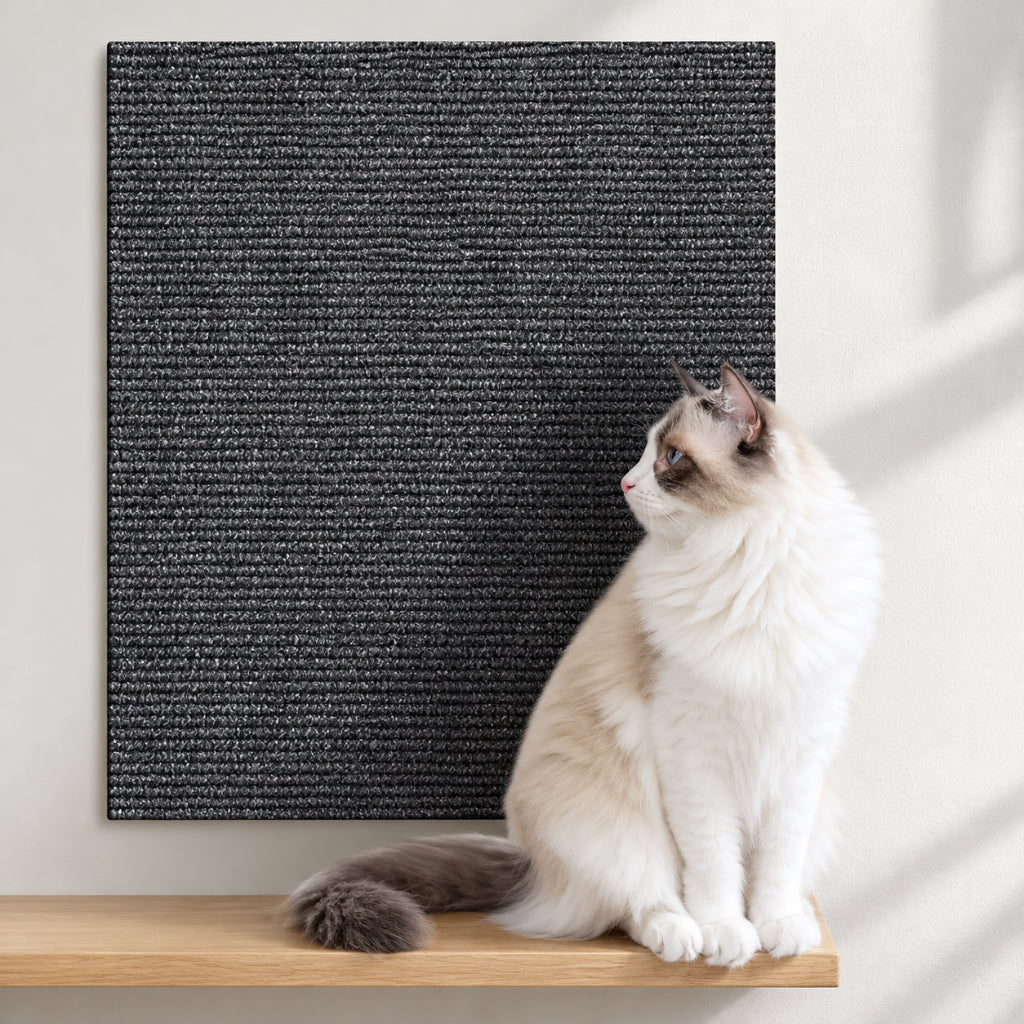 Griffoir Chat Protection Canapé