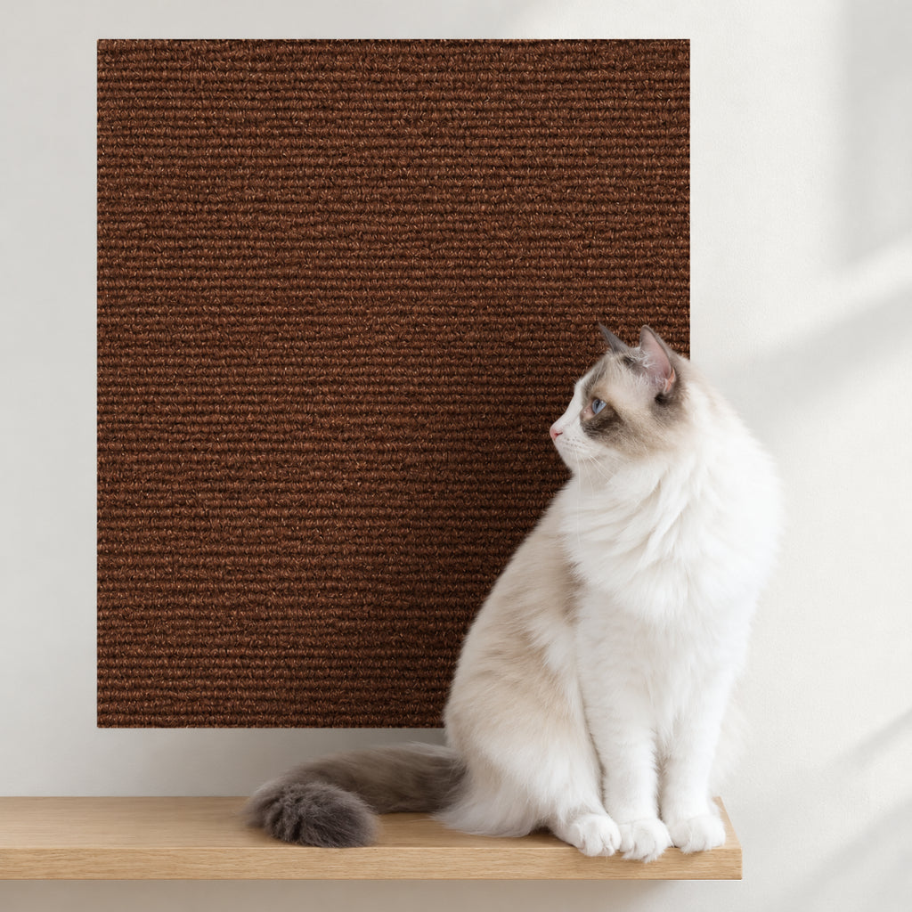 Griffoir Chat Protection Canapé