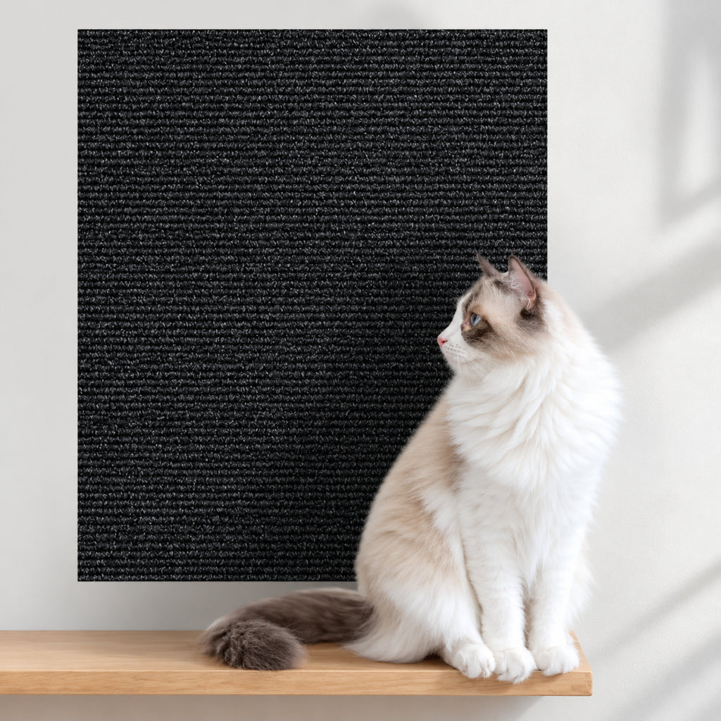 Griffoir Chat Protection Canapé