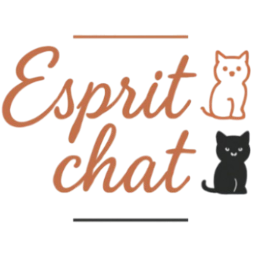 Esprit Chat 