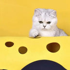 Tunnel pour Chat Pliable