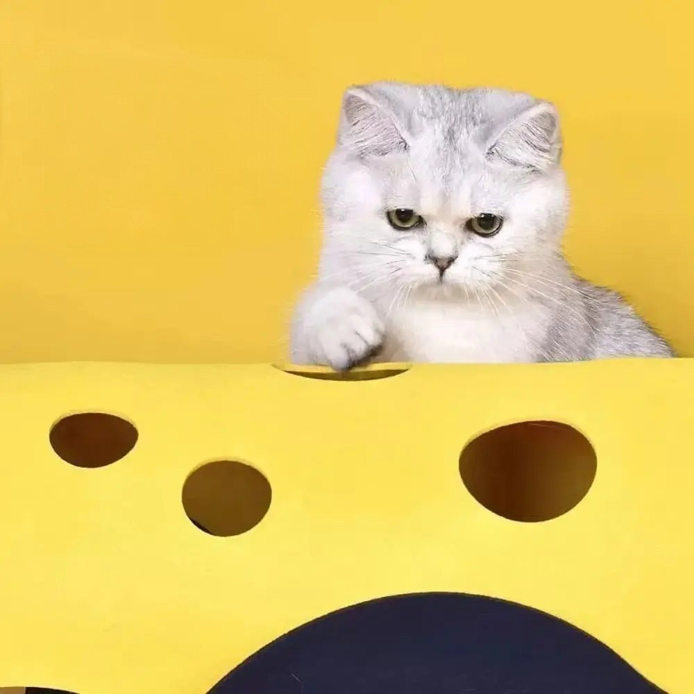 Tunnel pour Chat Pliable