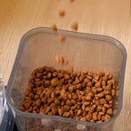 Distributeur de Croquette et Eau pour Chat
