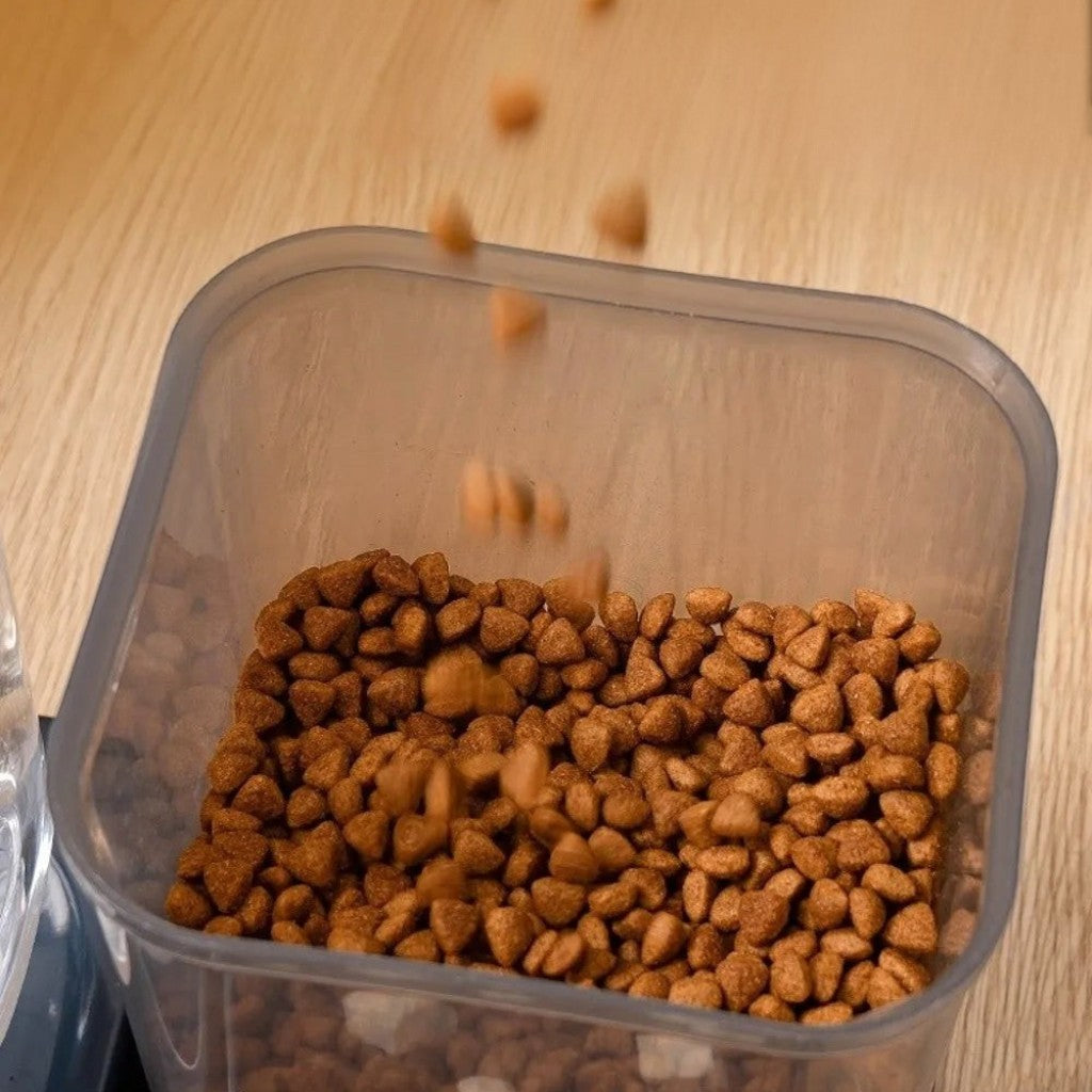 Distributeur de Croquette et Eau pour Chat