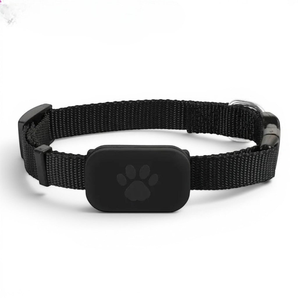 Collier pour Chat Bluetooth