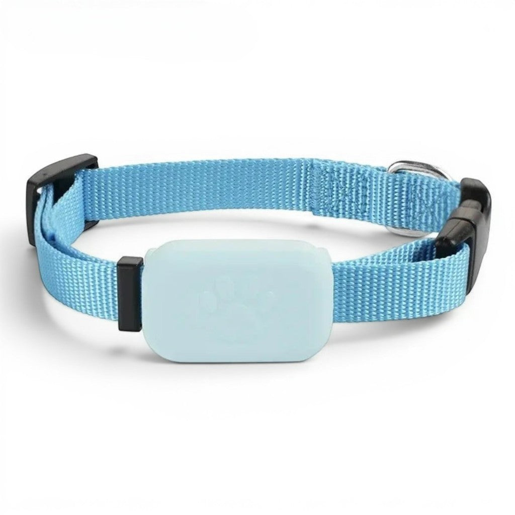 Collier pour Chat Bluetooth