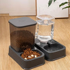 Distributeur de Croquette et Eau pour Chat