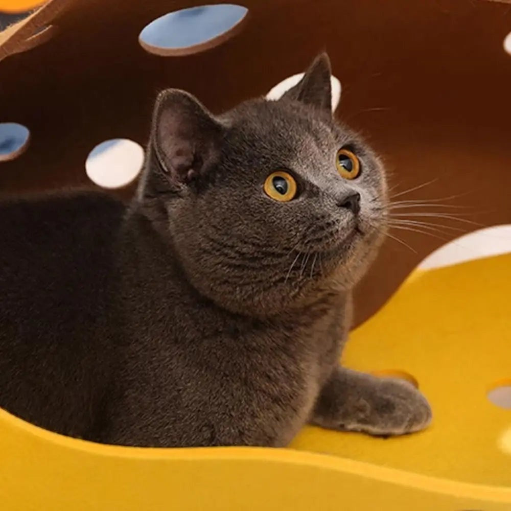 Tunnel pour Chat Pliable