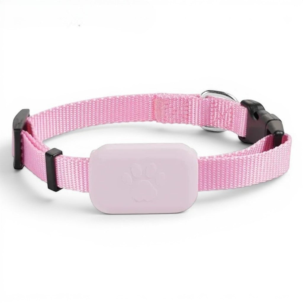 Collier pour Chat Bluetooth