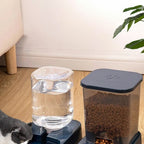 Distributeur de Croquette et Eau pour Chat