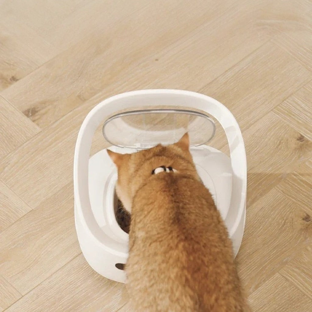 Distributeur de Croquettes pour Chat Wifi