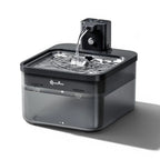 Fontaine à eau automatique en acier inoxydable DownyPaws pour chat, 2.5L, avec bec verseur et réservoir transparent.