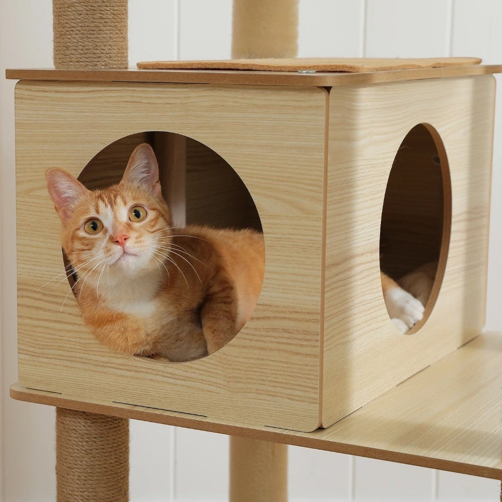 Chat roux installé dans la niche en bois beige d'un arbre à chat Esprit Chat avec poteaux en sisal
