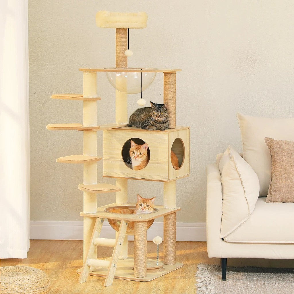 Arbre à chat multi-niveaux en bois beige Esprit Chat avec hamac, condo et griffoirs pour chats d'intérieur