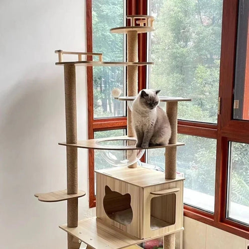 Arbre à chat Esprit Chat en bois multi-niveaux avec perchoir, niche et capsule transparente pour chat gris