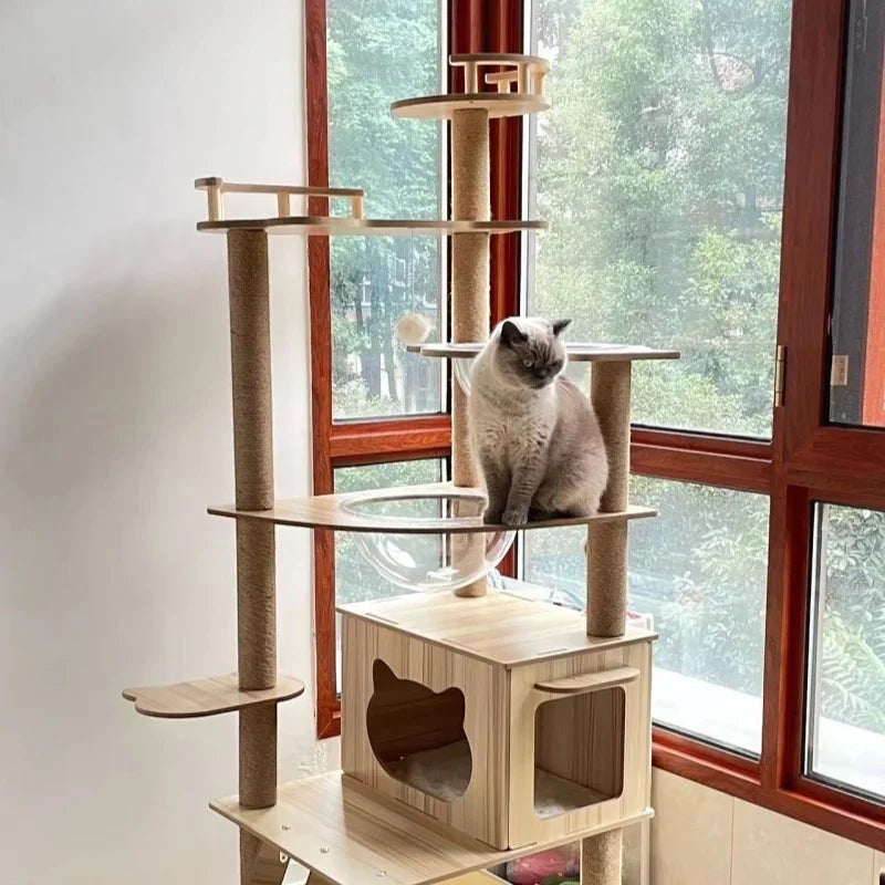 Arbre à chat Esprit Chat en bois multi-niveaux avec perchoir, niche et capsule transparente pour chat gris