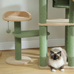 Arbre à chat multi-niveaux Esprit Chat en forme de cactus vert et beige avec poteaux en sisal et chat Ragdoll