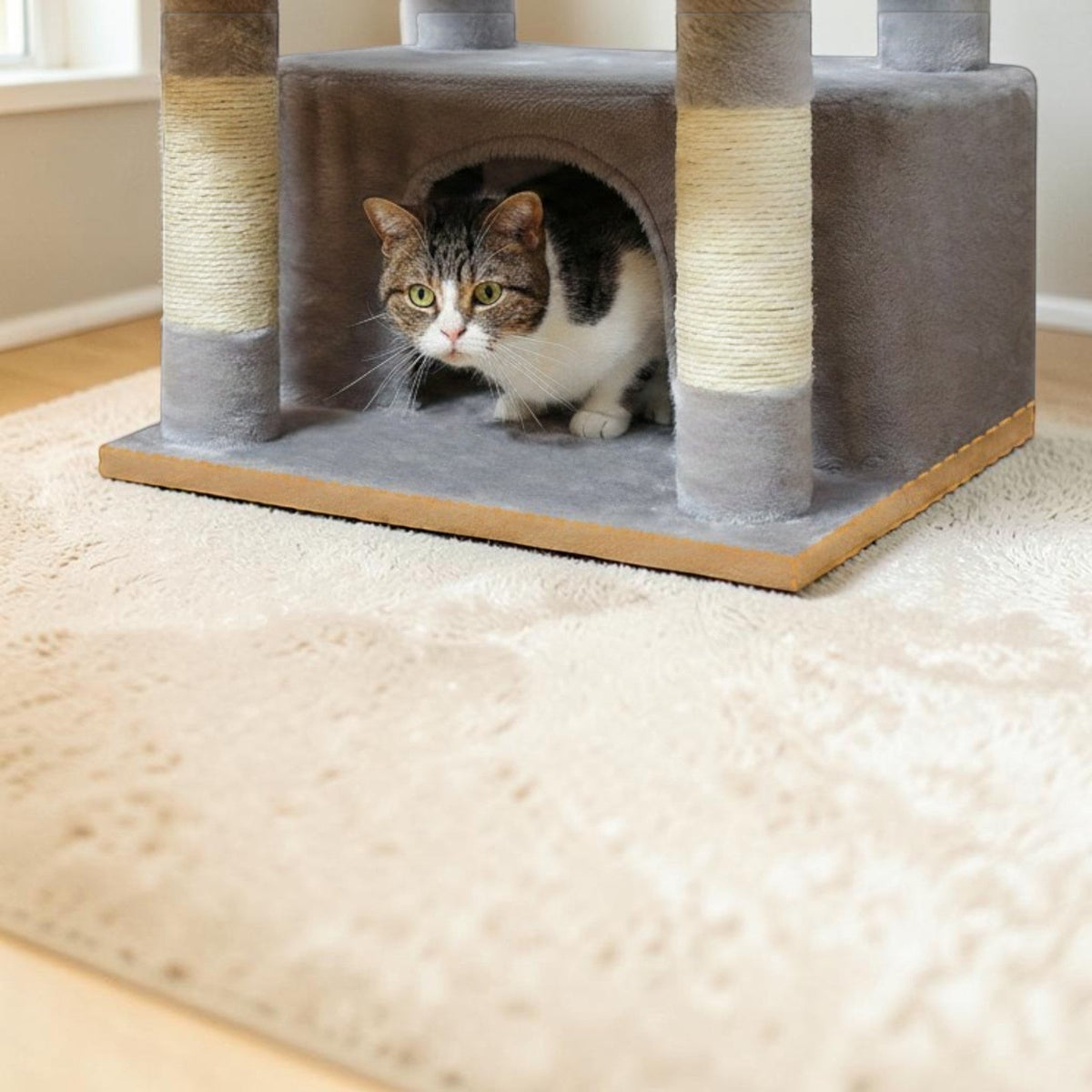 Arbre à chat Esprit Chat gris et beige avec poteaux recouverts de sisal et une niche pour chat.