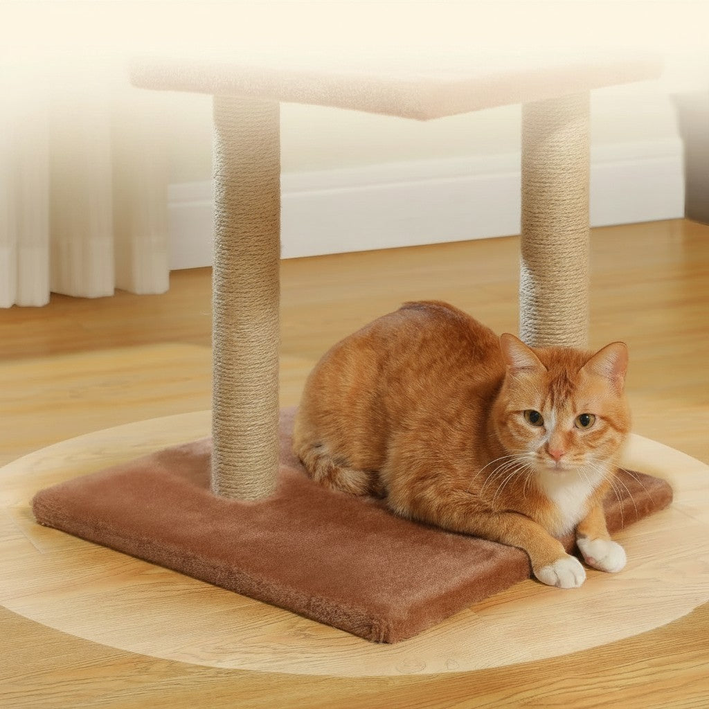 Chat roux allongé sur la base en peluche marron d'un arbre à chat Esprit Chat avec poteaux en sisal