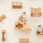 Ensemble mural Esprit Chat en bois naturel avec perchoirs, niche en forme de poisson et dôme transparent pour chats