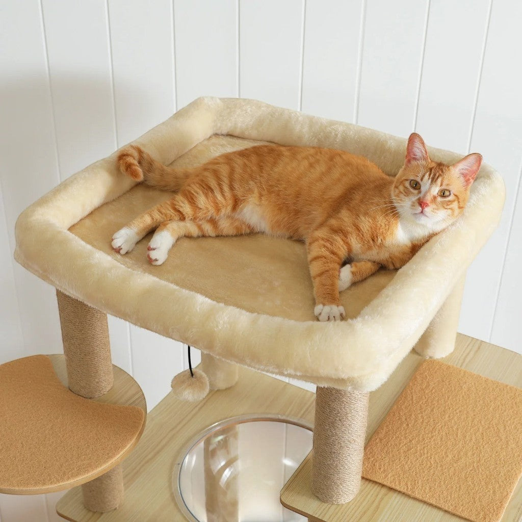 Chat roux allongé sur le perchoir supérieur beige en peluche douce d'un arbre à chat Esprit Chat multi-niveaux