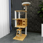 Arbre à chat Esprit Chat en bois clair avec plusieurs niveaux, niche, échelle et hamac transparent pour chat