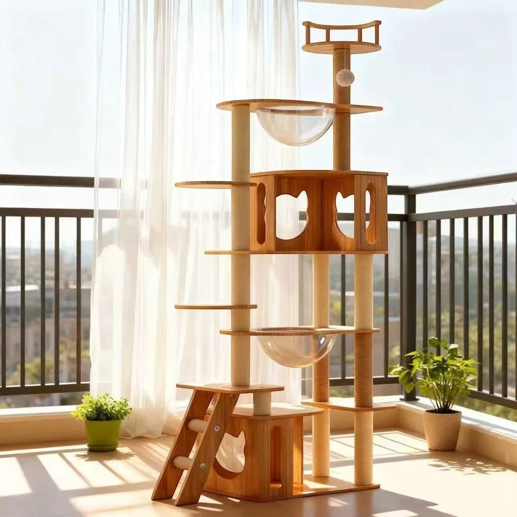 Arbre à chat Esprit Chat moderne en bois à cinq niveaux avec plateformes, échelles et bols transparents pour chat