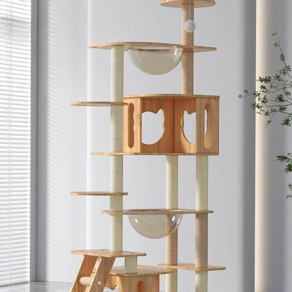 Arbre à chat moderne Esprit Chat en bois à plusieurs niveaux avec niches et bols transparents pour chat