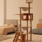 Arbre à chat moderne Esprit Chat en bois à plusieurs niveaux avec hamacs transparents et niches pour chat