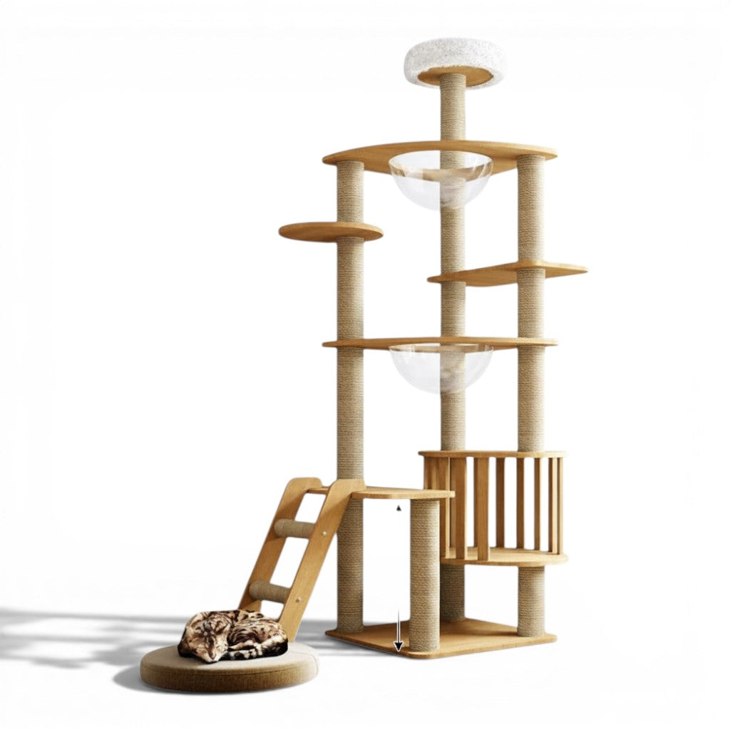 Arbre à chat Esprit Chat multi-niveaux en bois avec griffoirs en sisal, hamacs transparents et plateforme supérieure