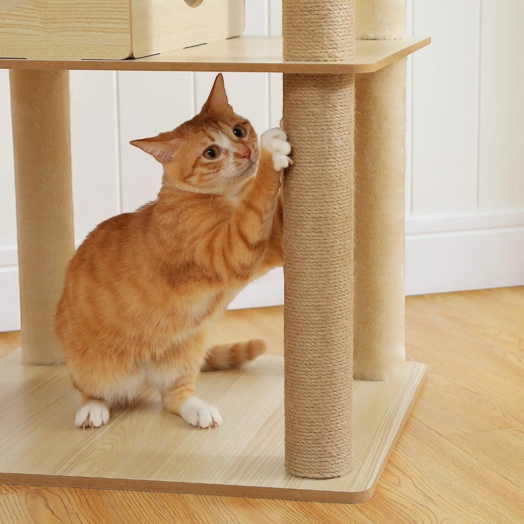 Chat roux faisant ses griffes sur un poteau en sisal d'un arbre à chat en bois beige de la marque Esprit Chat