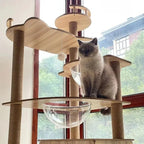 Arbre a chat Esprit Chat en bois avec perchoirs, poteaux en sisal et bol transparent devant une fenetre