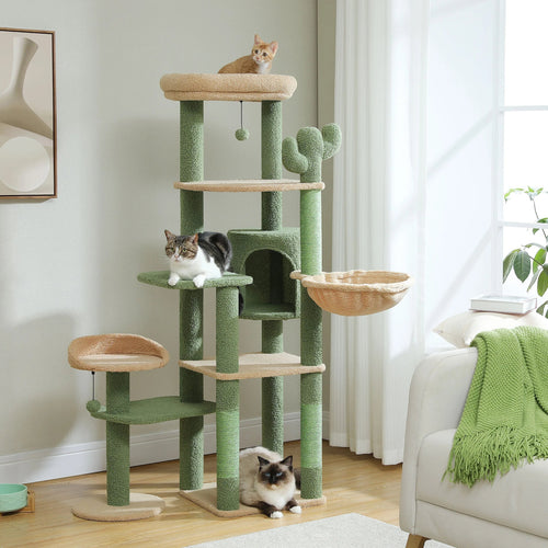 Arbre à chat multi-niveaux Esprit Chat en forme de cactus vert avec griffoirs en sisal, hamac et plateformes douces.