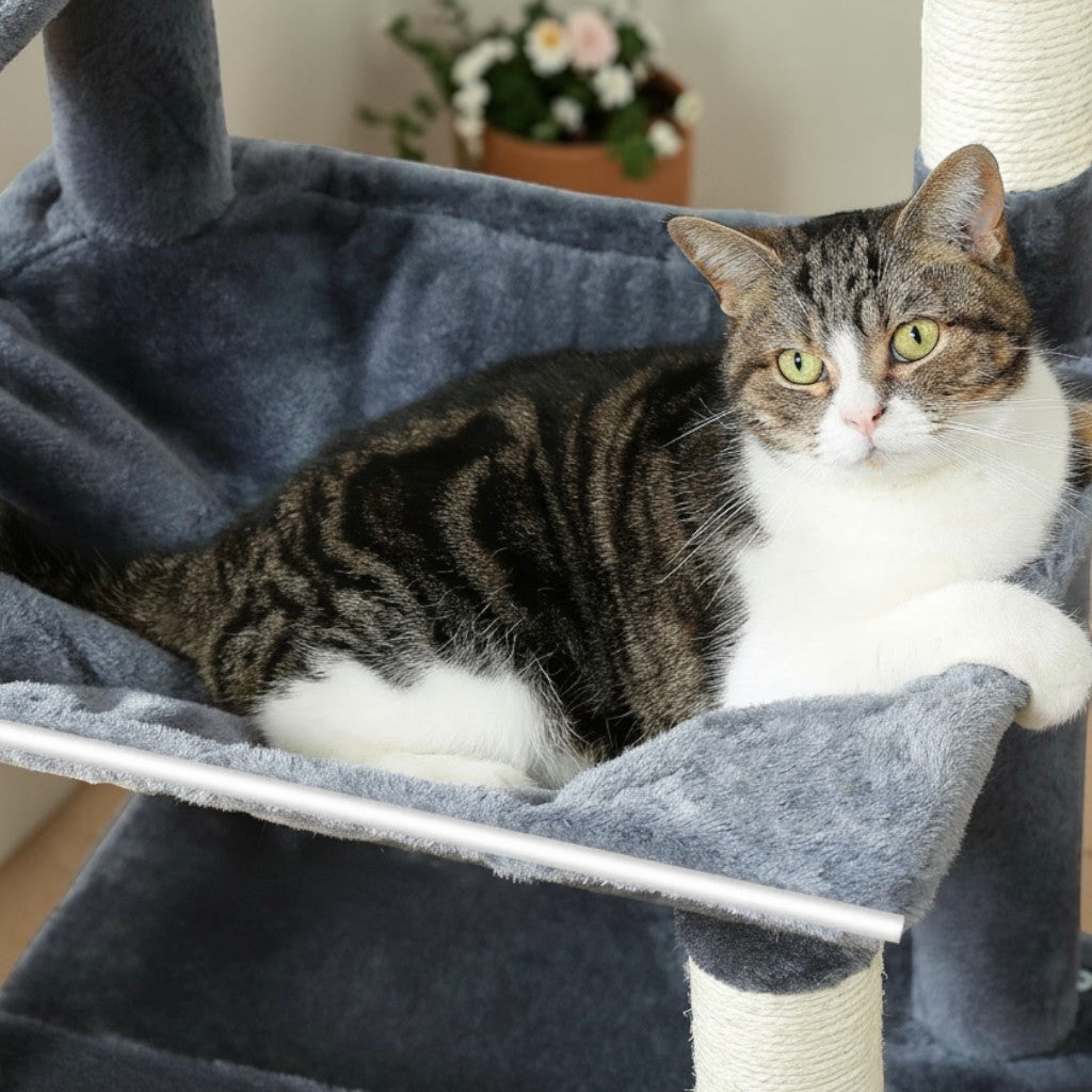 Arbre à chat PAWZ Road gris et beige avec hamac confortable et perchoirs rembourrés pour chats d'intérieur.