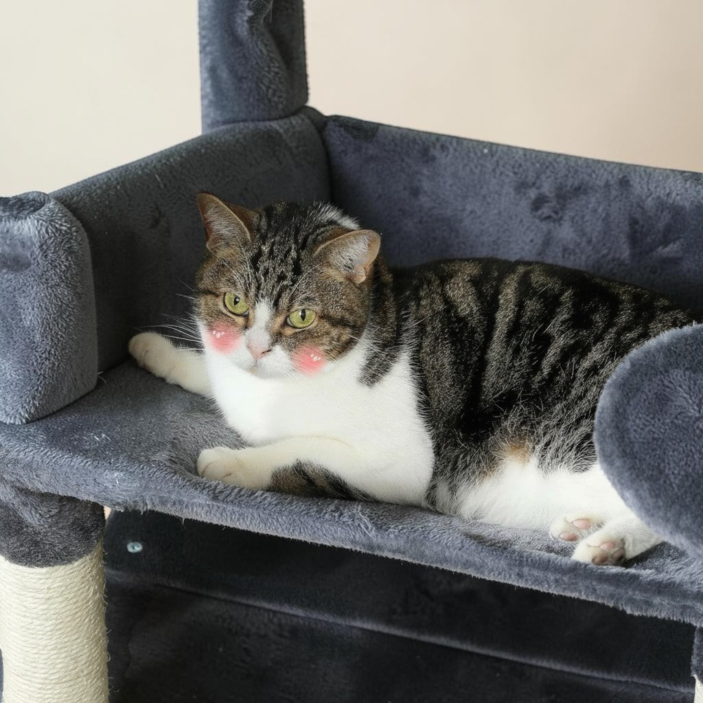 Arbre à chat PAWZ Road gris et beige avec hamac spacieux et perchoirs rembourrés pour chats d'intérieur.
