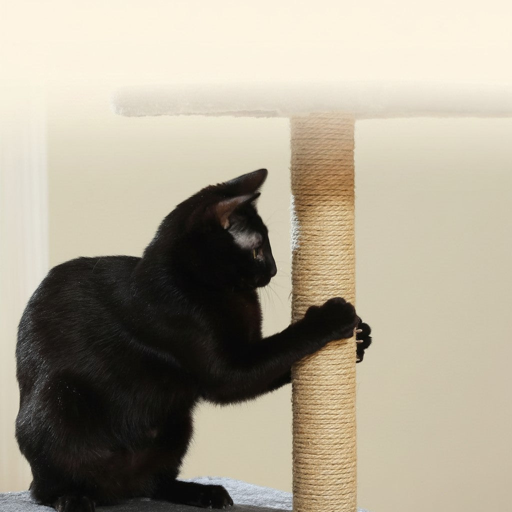 Chat noir faisant ses griffes sur un poteau en sisal d'un arbre à chat Esprit Chat