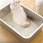 Bac à litière Esprit Chat en acier inoxydable avec bords hauts, idéal pour chat blanc à l'intérieur
