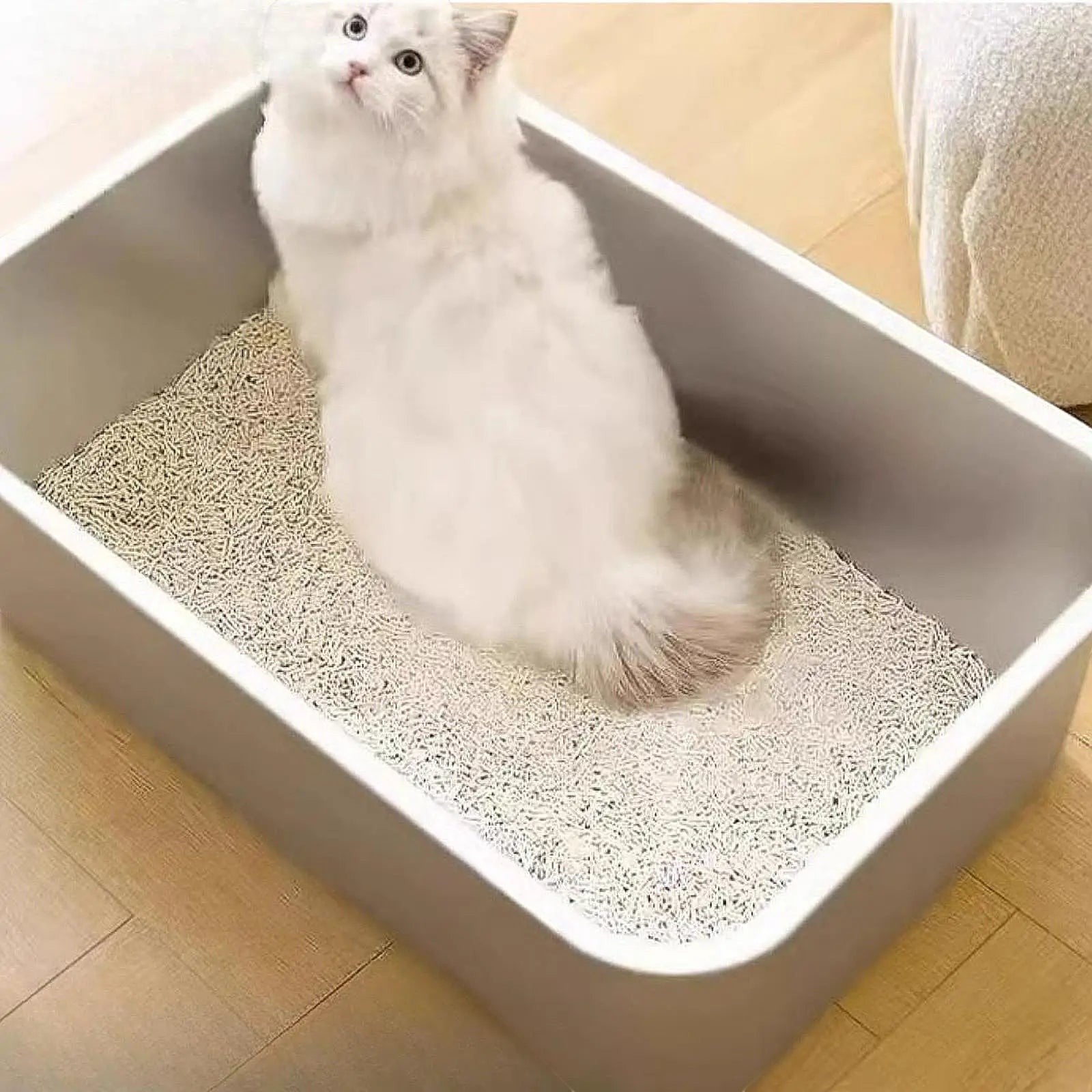 Bac à litière Esprit Chat en acier inoxydable avec bords hauts, idéal pour chat blanc à l'intérieur