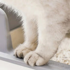 Pattes d'un chat posées sur le rebord gris d'un bac à litière Esprit Chat en acier inoxydable