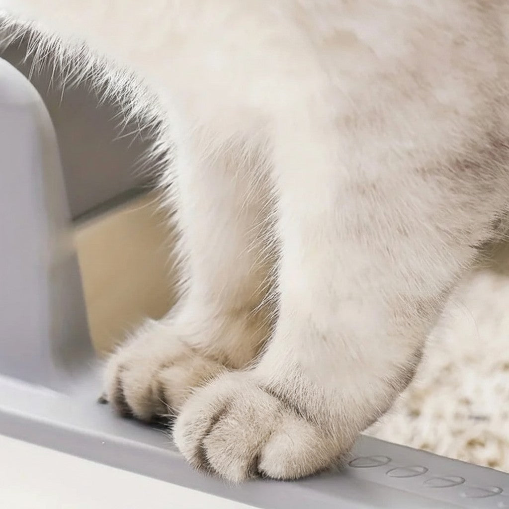 Pattes d'un chat posées sur le rebord gris d'un bac à litière Esprit Chat en acier inoxydable