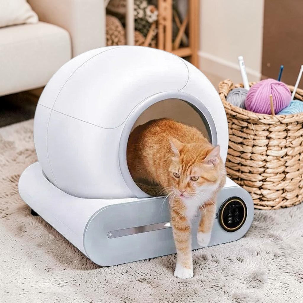 Bac à litière auto nettoyante Esprit Chat blanche et ronde avec un chat roux sortant de l'appareil connecté