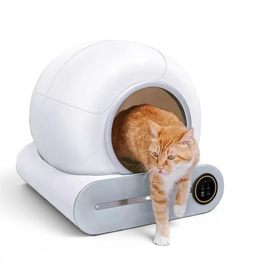 Bac à litière auto nettoyant Esprit Chat blanc et rond avec chat roux sortant, connecté en Wi-Fi