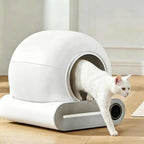 Bac à litière auto nettoyante Esprit Chat blanche et ronde avec un chat blanc sortant de l'appareil connecté