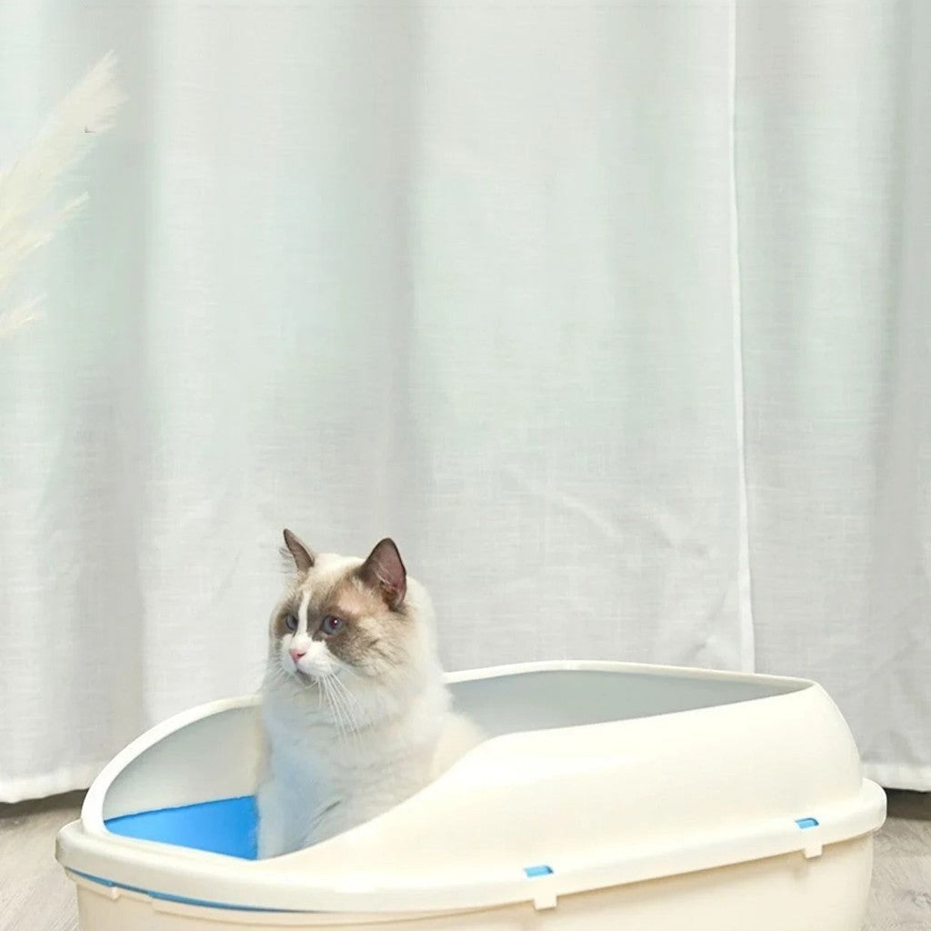 Chat Ragdoll assis dans un bac à litière Esprit Chat semi-fermé en plastique PP beige et bleu avec rebords anti-projections
