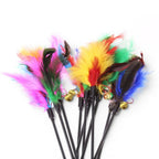 Lot de 5 baguettes interactives Esprit Chat avec plumes colorées et grelots pour stimuler l'instinct de chasse du chat