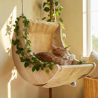 Balançoire pour chat Esprit Chat en bois naturel avec hamac respirant, suspendue dans un jardin verdoyant